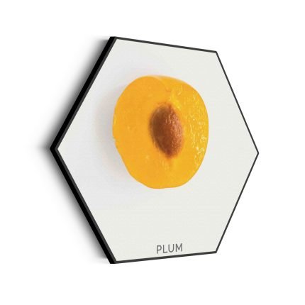 akoestisch-schilderij-plum-pruim-oranje-hexagon_Wecho
