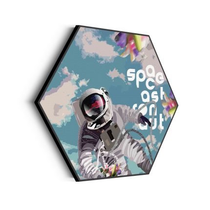 akoestisch-schilderij-astronaut-in-de-ruimte-hexagon_Wecho
