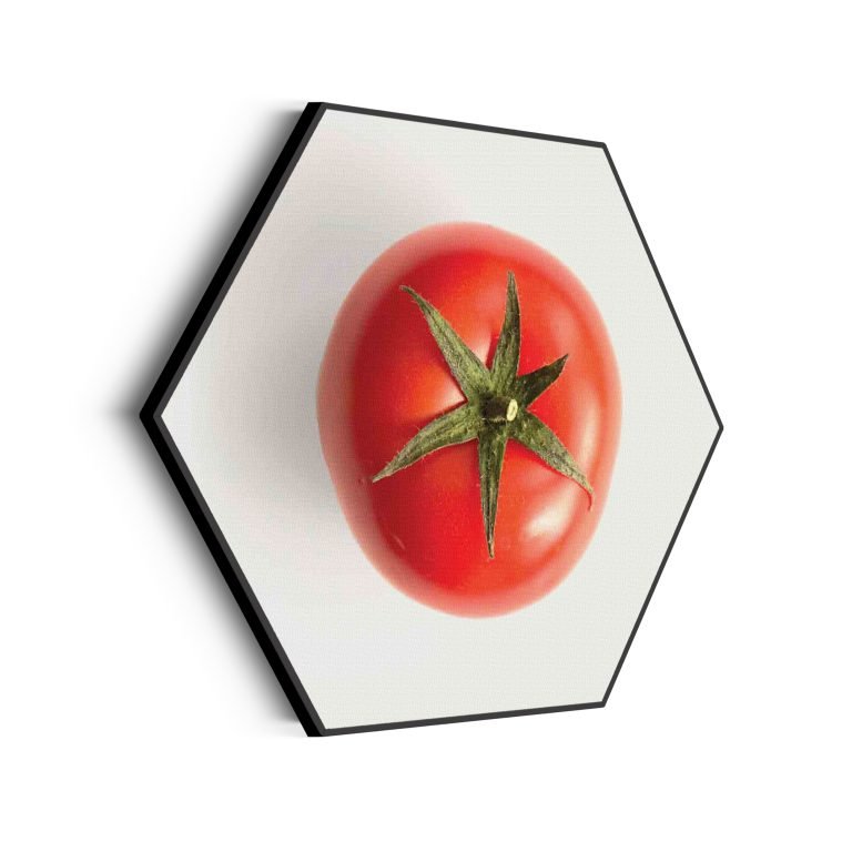 akoestisch-schilderij-tomato-hexagon_Wecho